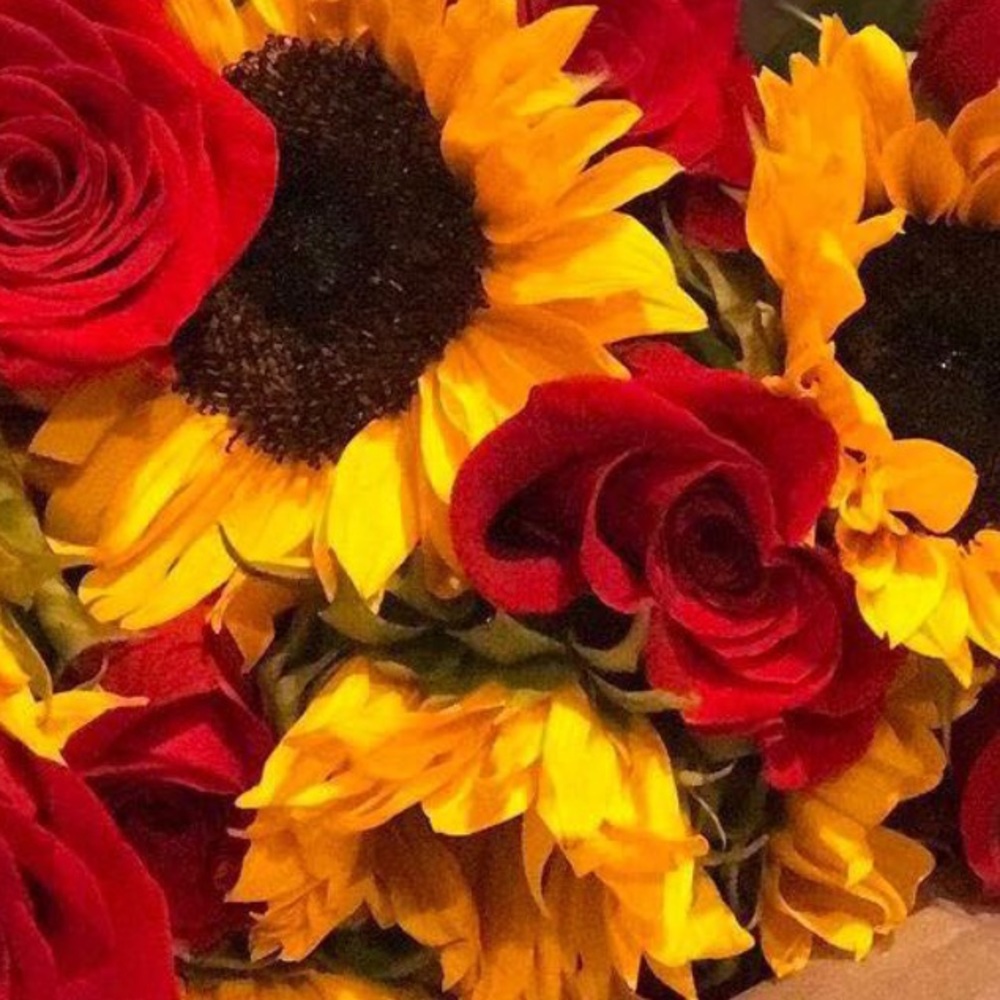 Meet your Posher, Carcarolina